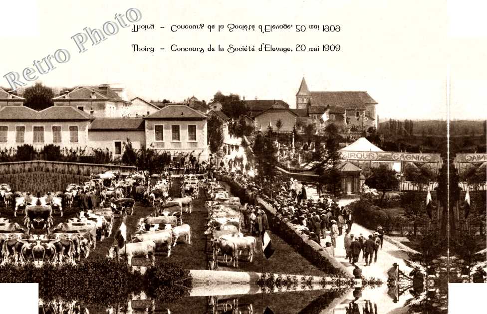 Concours de la Societe d'Elevage, 20 mai 1909