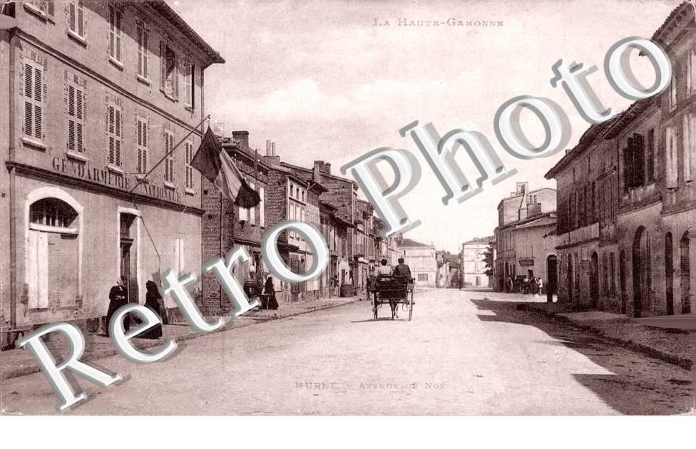 Avenue de Noe