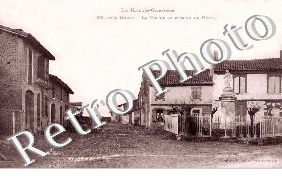 Ox - La vierge et avenue