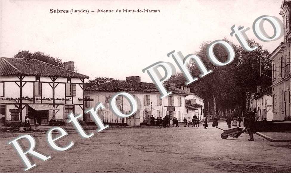 Avenue de Mont de Marsan