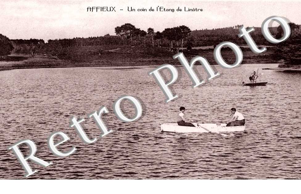 Un coin de l'Etang de Linatre