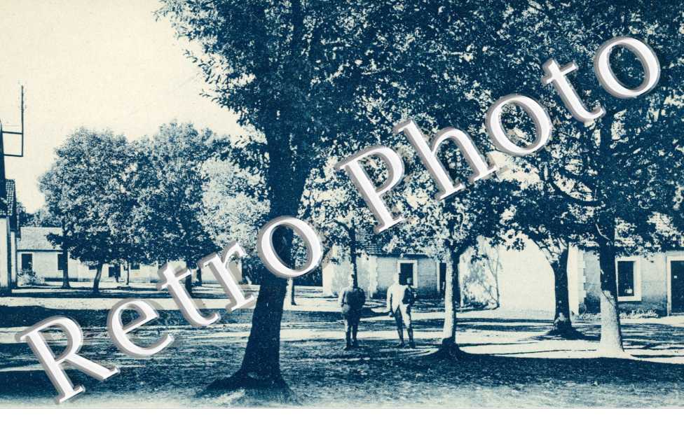 Camp de la Braconne - Allee centrale des cantonnements