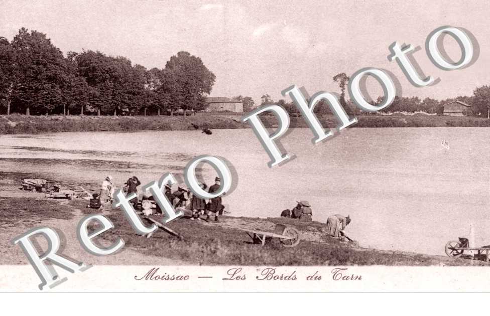 les bords du Tarn