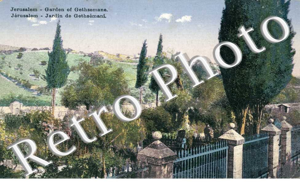 Jardin de Gethsemani