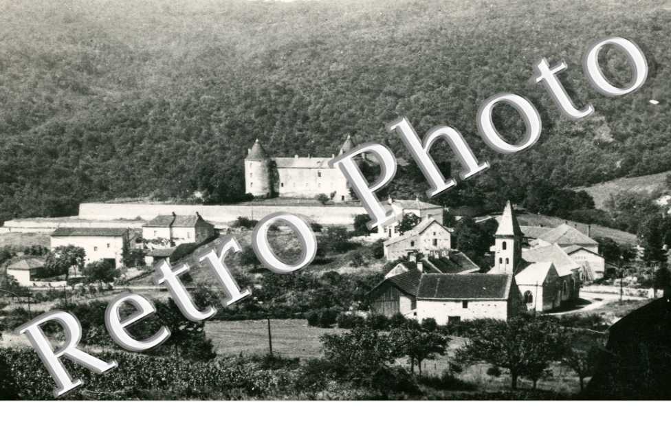 Chateau et foret des Buis  -  fin des annees 40