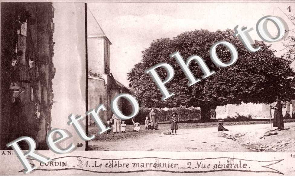 Le cre Marronnier