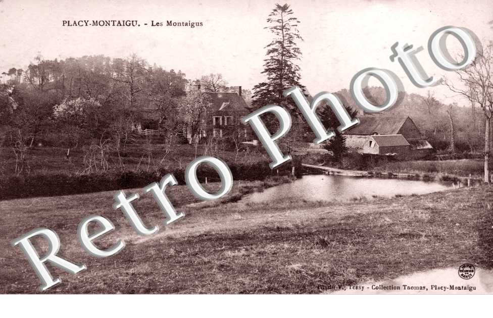 Les Montaigus