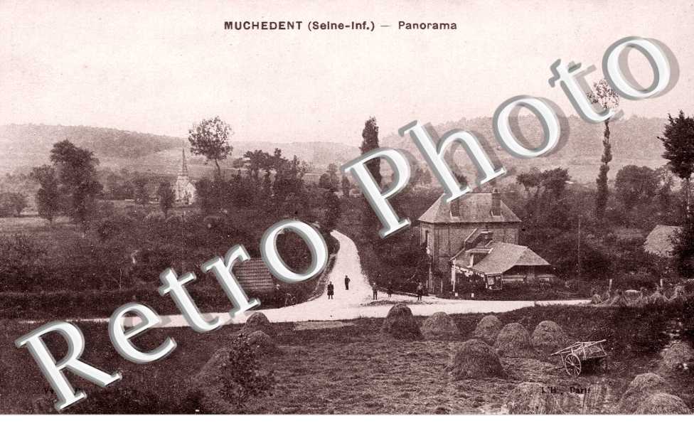 panorama