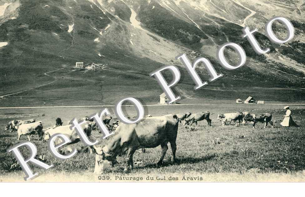 Paturage du Col des Aravis