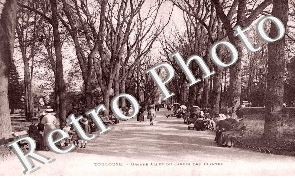 Grande Allee du Jardin des Plantes - Mistral (allees Frederic)