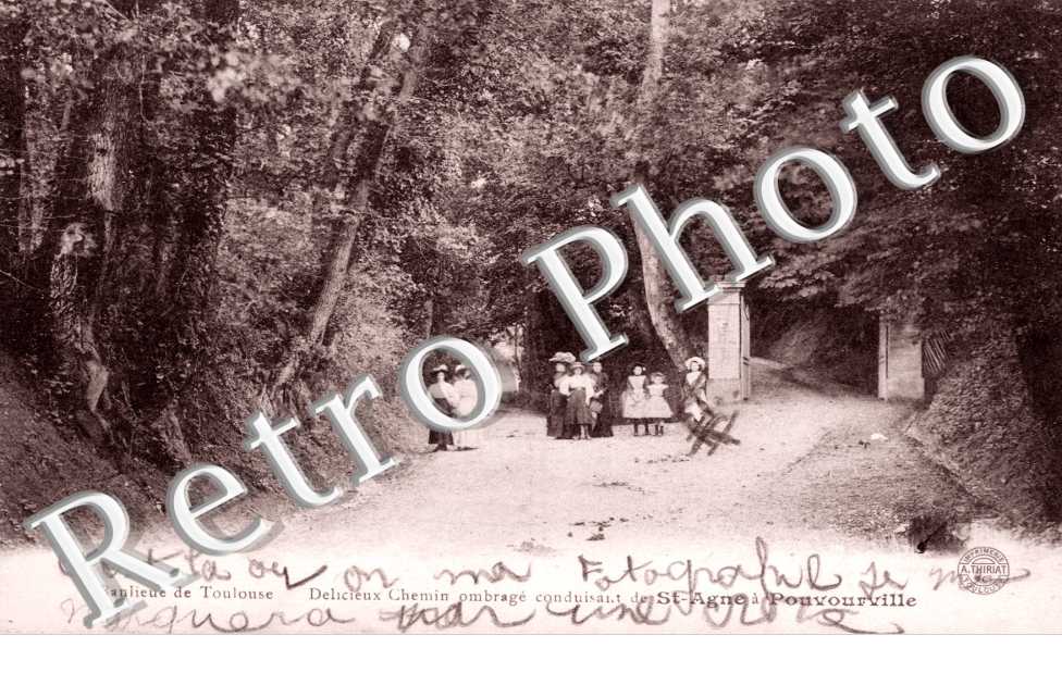 Chemin ombragé conduisant de Saint-Agne a Pouvourville