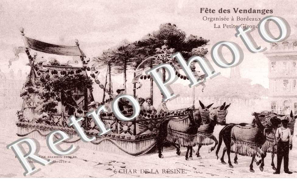 Fete des Vendanges - Char de la Resine