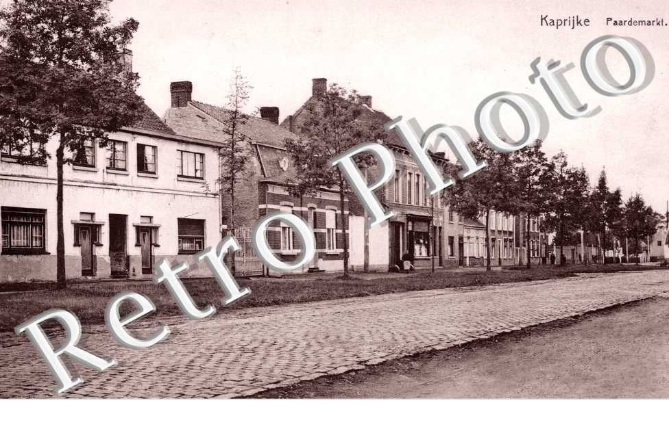 Paardmarkt
