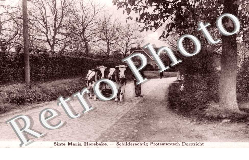 SINTE MARIA HOREBEKE schilderachtig Protestantsch Dorpzicht