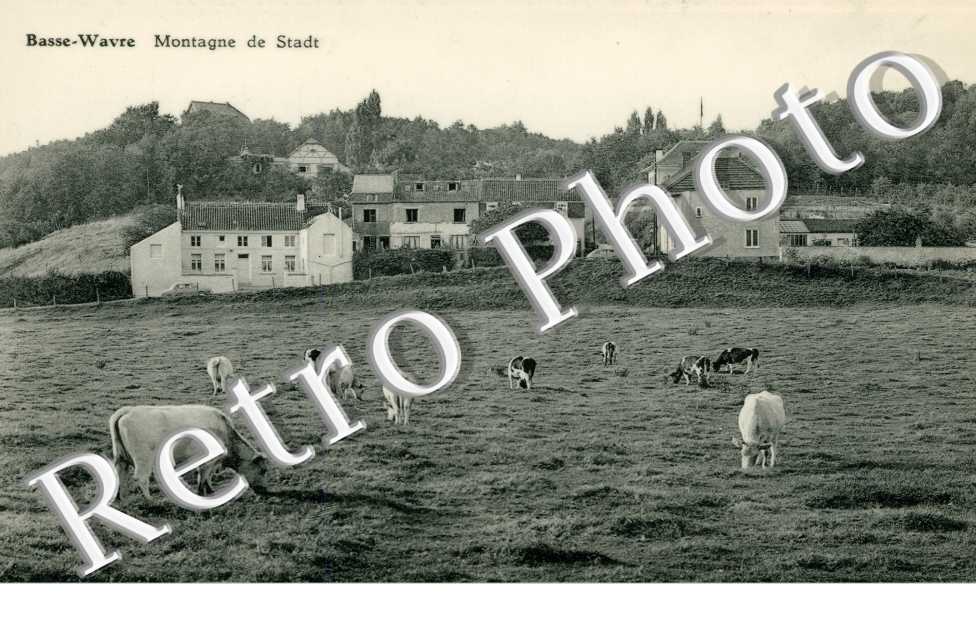 BASSE WAVRE Montagne de Stadt