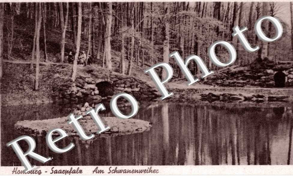 Am schwanenweiher