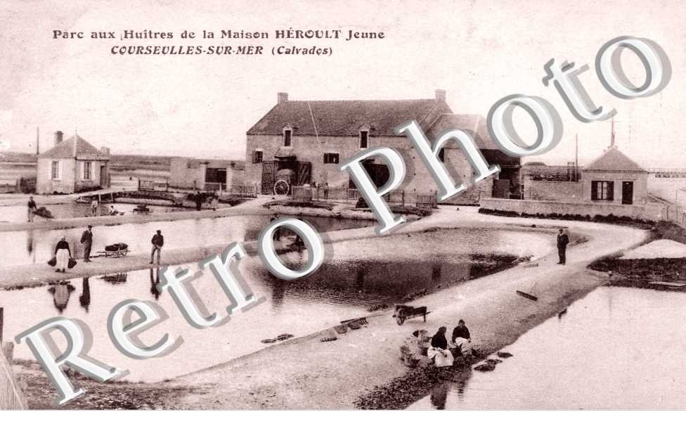 parc aux huitres de la maison Heroult Jeune