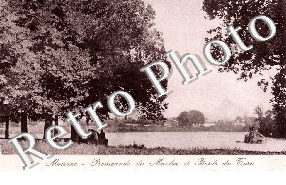 promenade du moulin et bords du Tarn