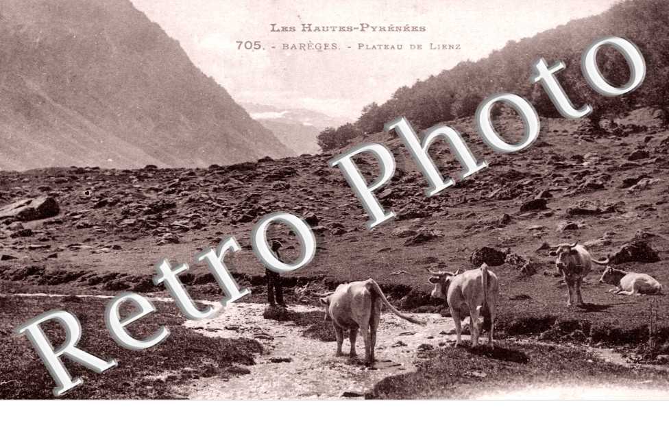 Plateau de Lienz