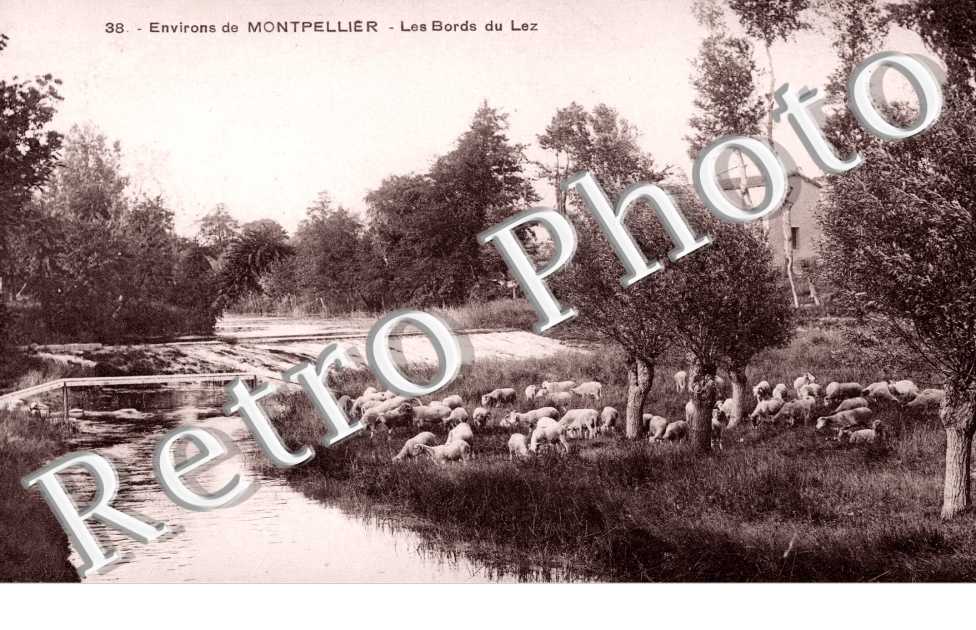 Les Bords du Lez