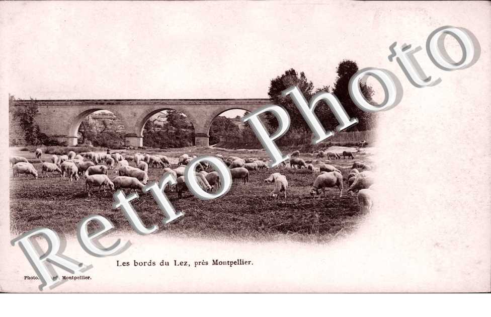 Les Bords du Lez