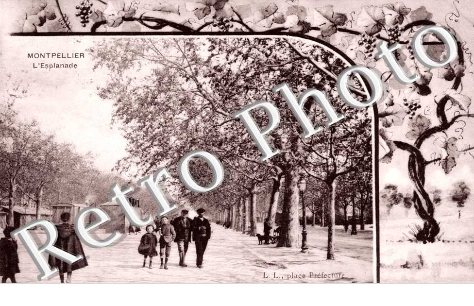 L'esplanade