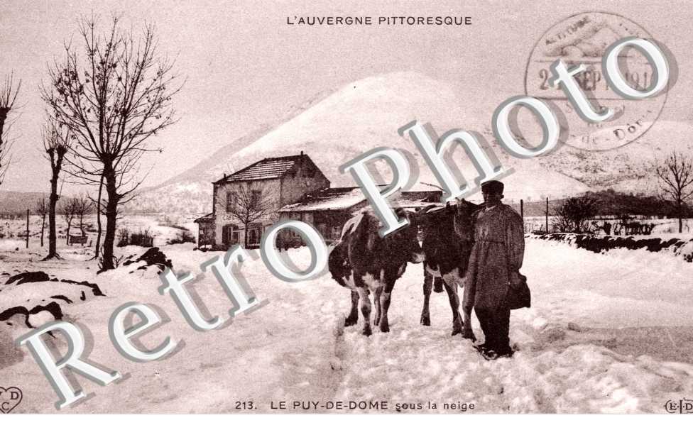 Sous la neige