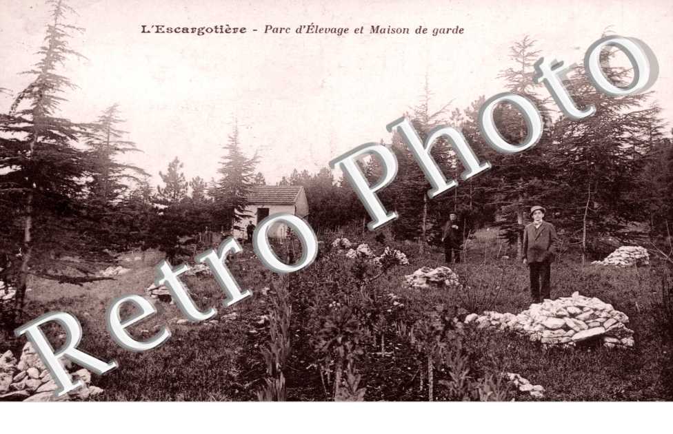 l'escargotiere Parc d'elevage et maison de garde