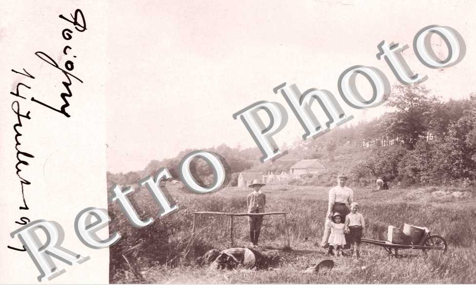 Vue generale 14 juillet 1909