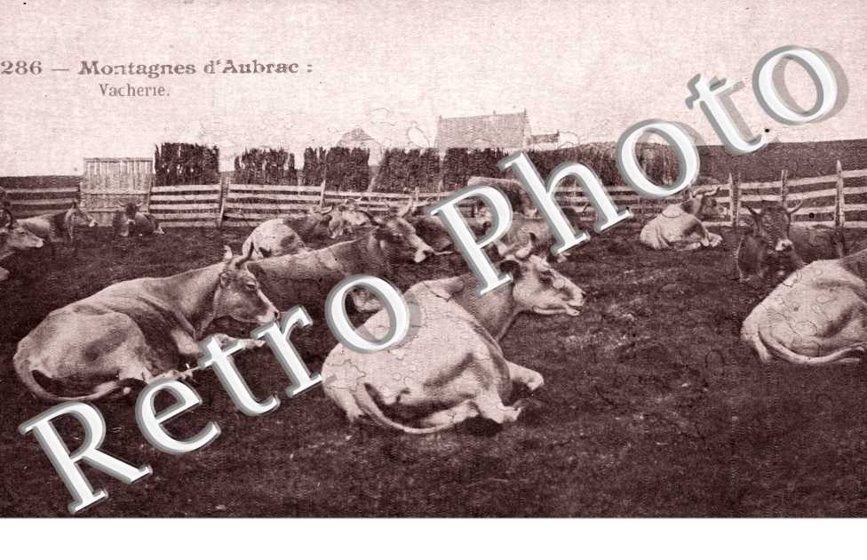 Montagnes d'Aubrac