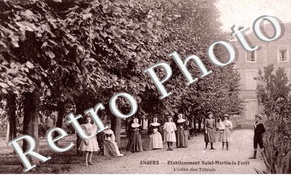 Etablissement Saint Martin de la Fore  - All des Tilleuls