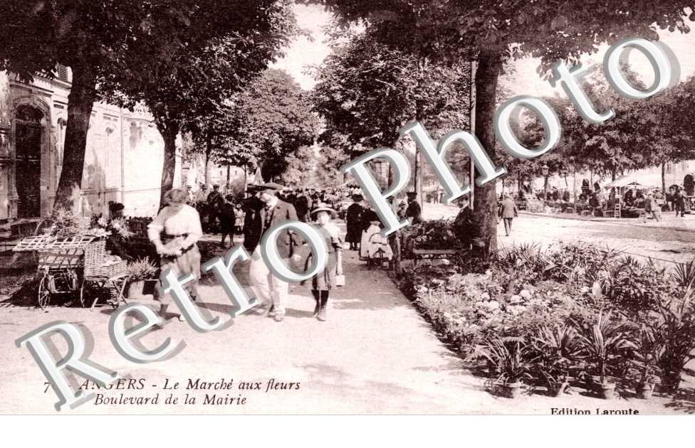 Le Marchaux fleurs Boulevard de la Mairie
