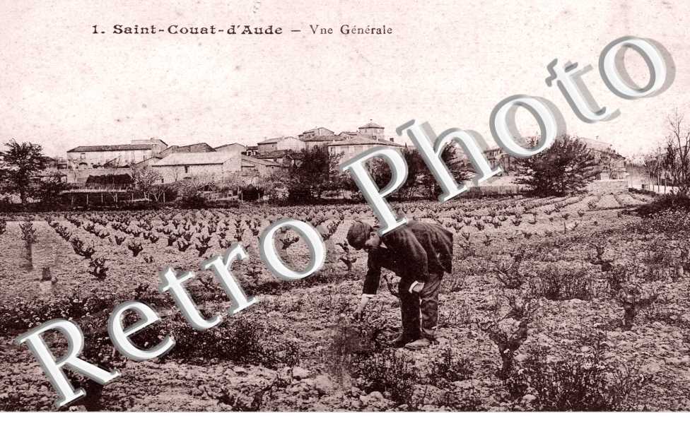 Vue generale