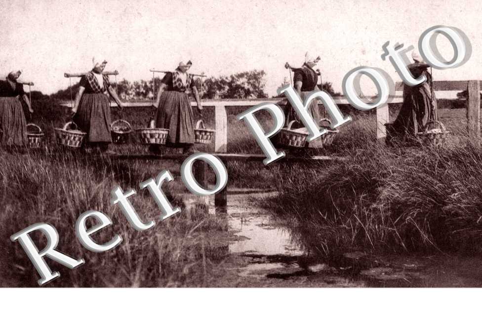 Naar de stad. Vischvrouwen