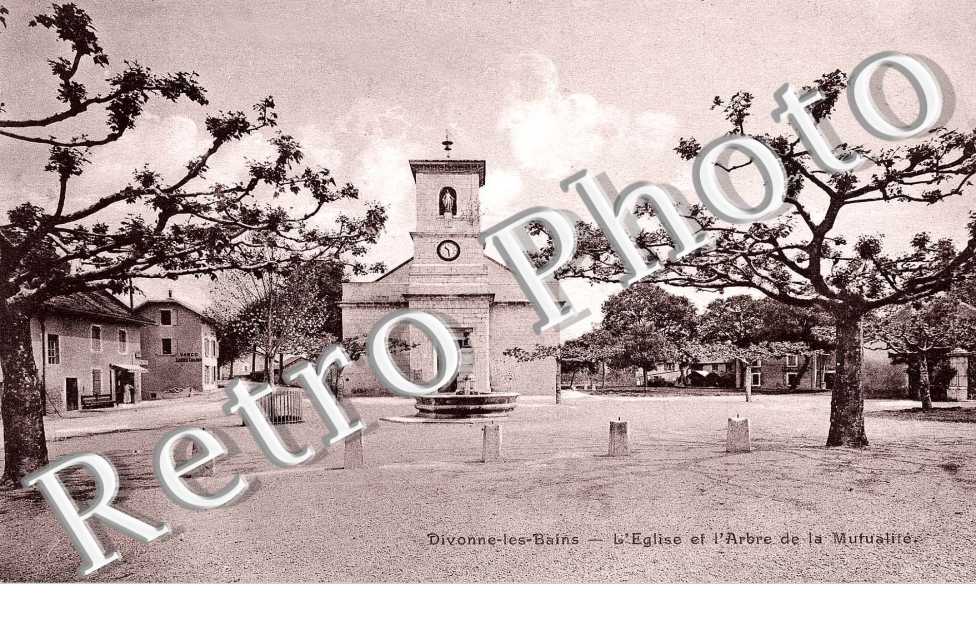 L'Eglise et l'Arbre de la Mutualité