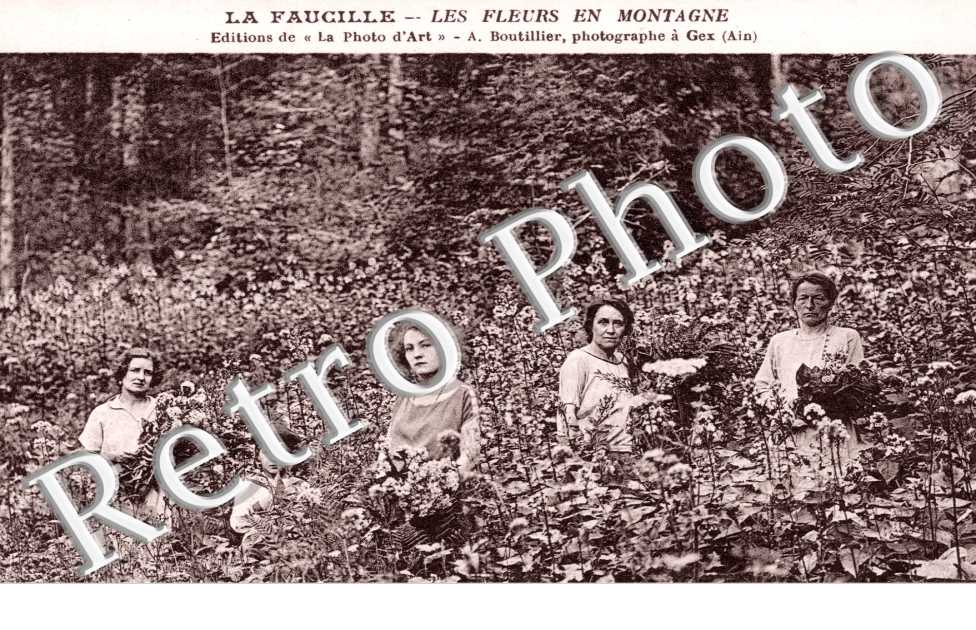 les fleurs en montagne  la Faucille