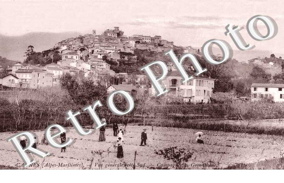 vue generale  Campagne cote gros chene