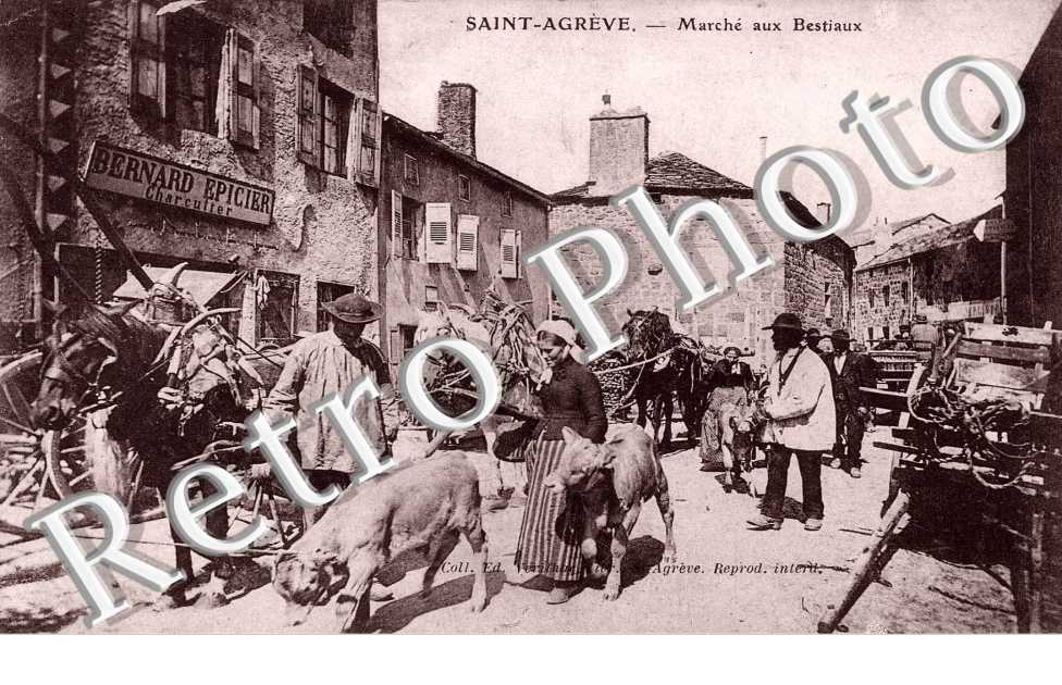 MARCHE AUX BESTIAUX 