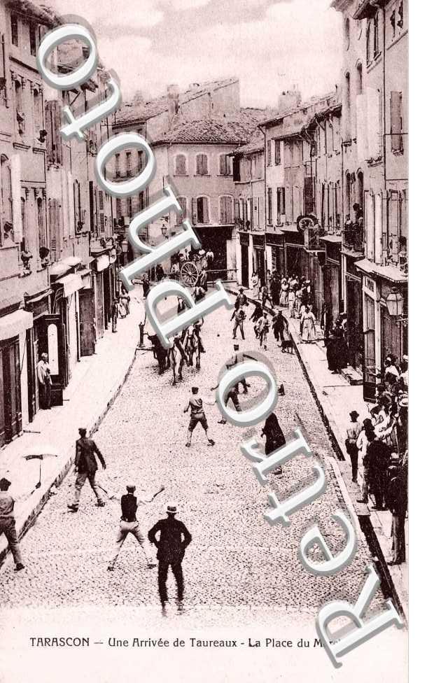 la Place du marche une arrivee de taureaux
