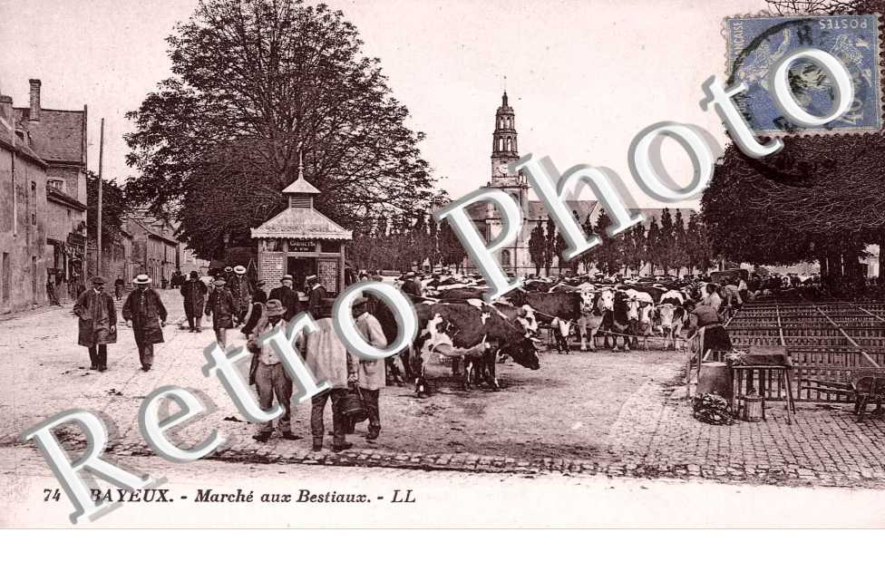 marche aux bestiaux