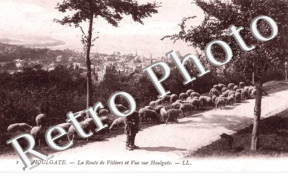  LA ROUTE DE VILLIERS ET VUE SUR HOULGATE