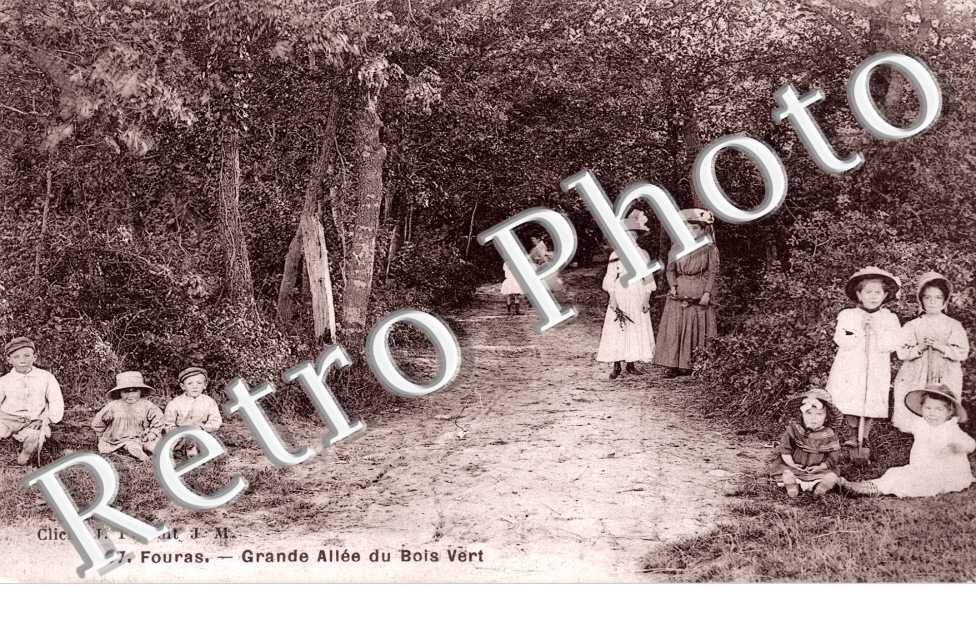 Grande Allee du Bois Vert