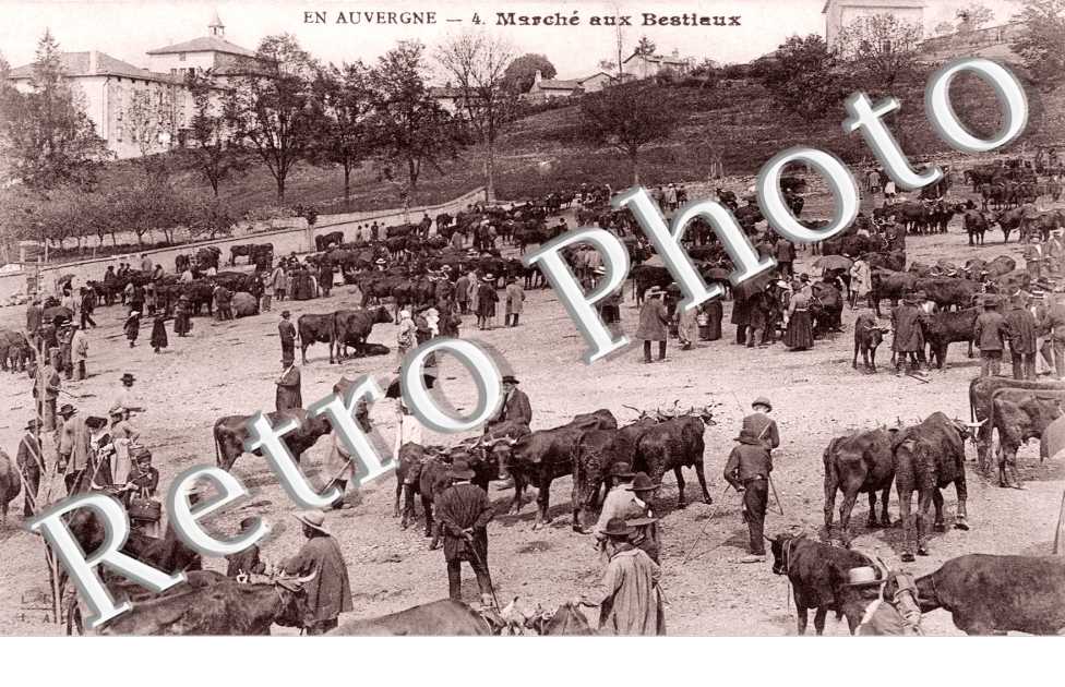 Marche aux bestiaux