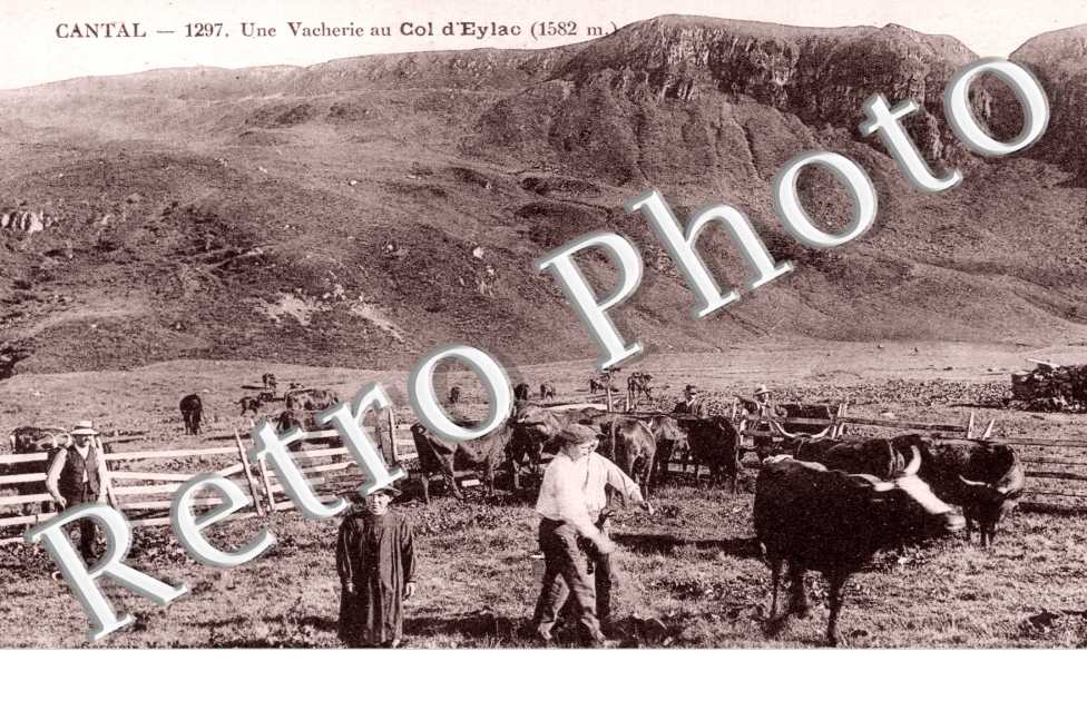 une vacherie au Col d'Eylac