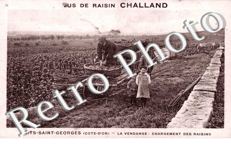 La Vendange - Chargement des Raisins - Jus de raisin Challand