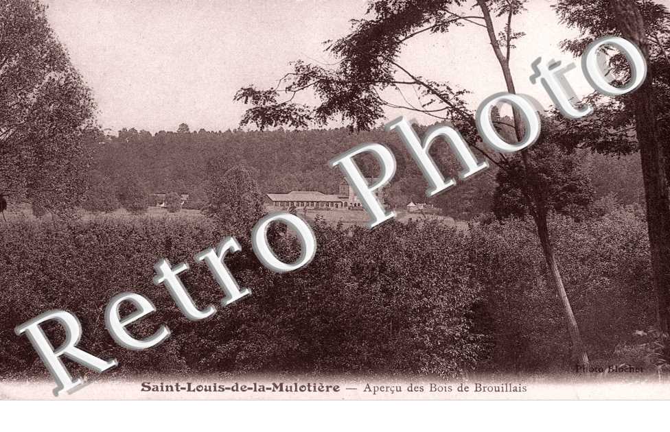 Apercu des bois de Brouillais