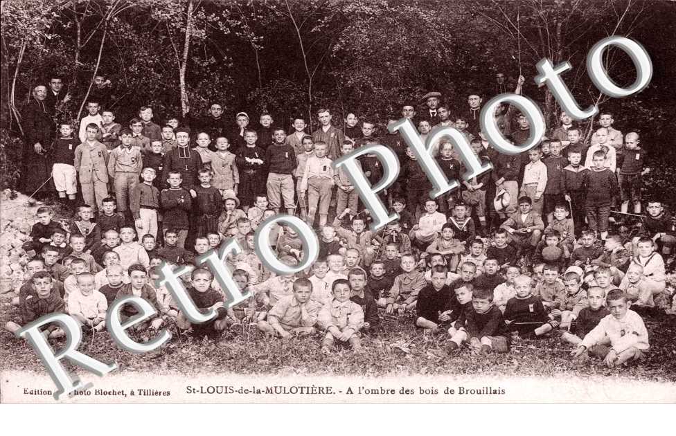 Saint Louis - A l'ombre des Bois de Brouillais