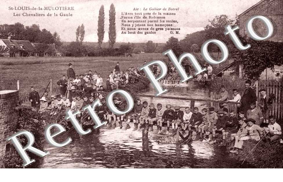 Saint Louis - Les Chavaliers de la Gaule