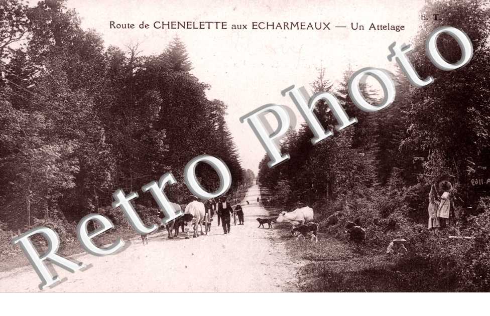 Route de Chenelette aux Echarmeaux - Un Attelage