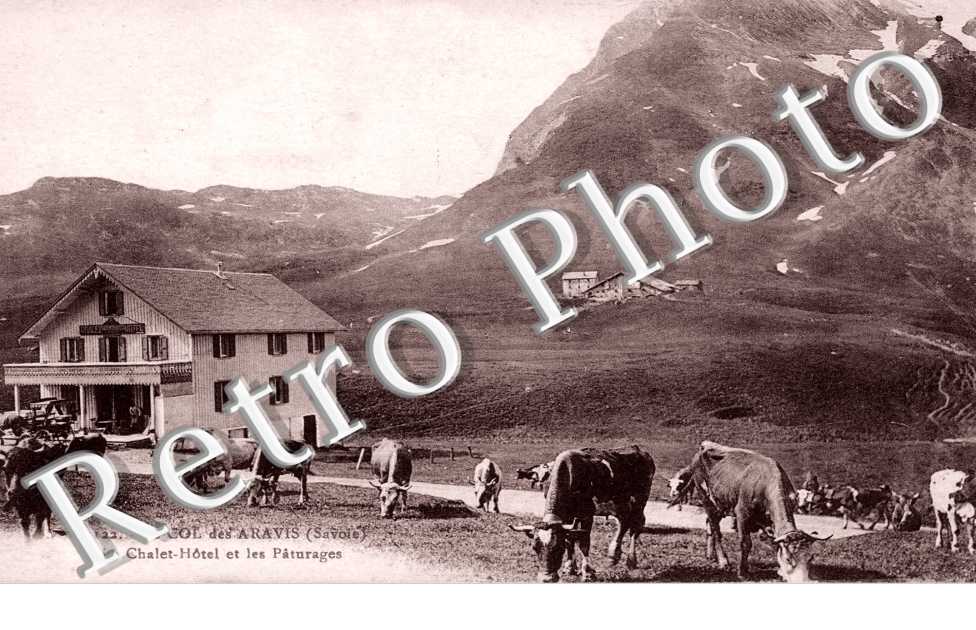 le col des Aravis Chalet Hotel et les paturages